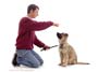 Training your dog